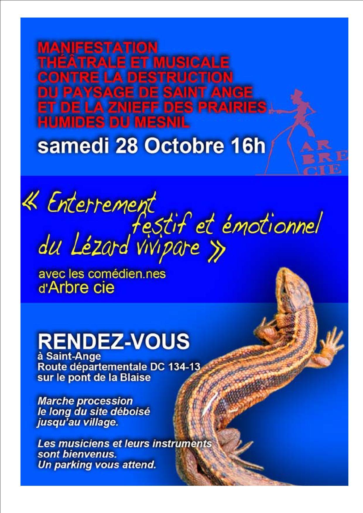 Enterrement festif et emotionnel du lezard vivipare